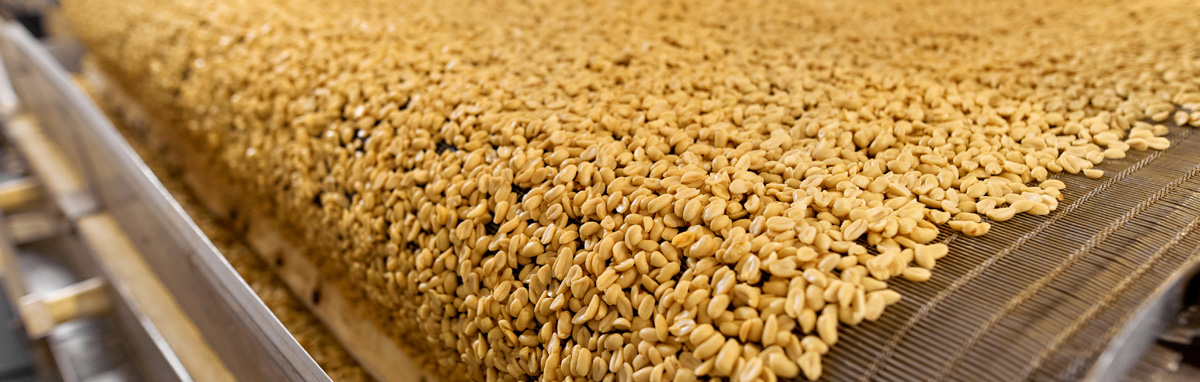 Improve Food Safety with Bulk Product X-ray Inspection